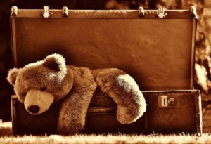 Histoire des peluches : vieil ours en peluche dans une malle