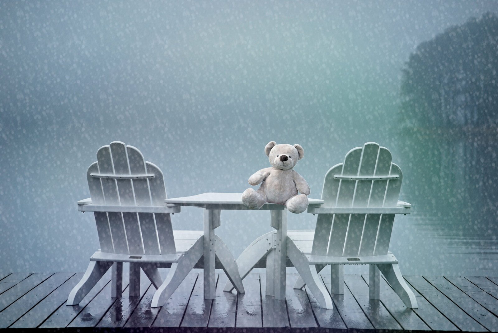 Cauchemars des peluches : peluche seule sur une table sous la pluie