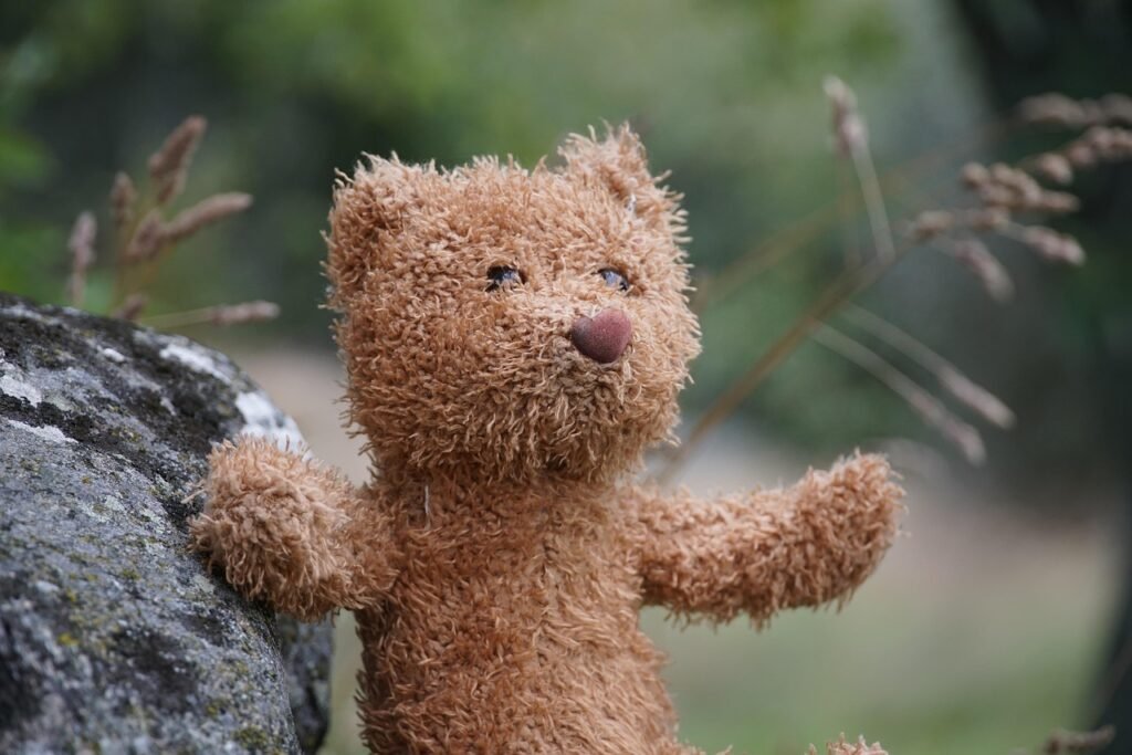 Quiz peluche : petit ours en peluche dans la nature