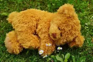 peluche ours endormi