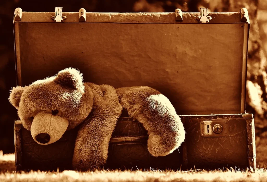 Histoire des peluches : vieil ours en peluche dans une malle