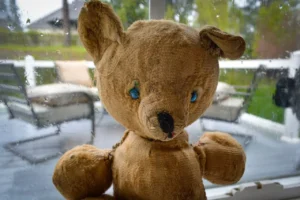 Histoire des peluches, une peluche qui porte une histoire