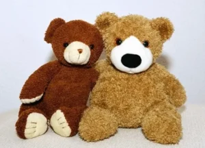 Peluches compagnon émotionnel, deux peluche d'ours