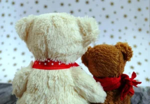 ours en peluche de dos