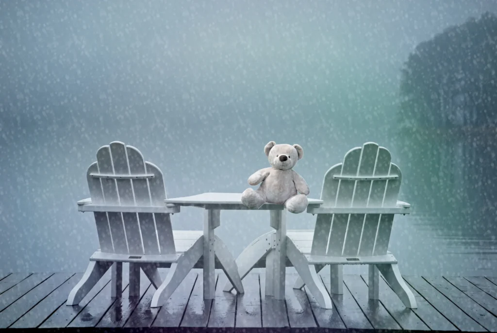 une peluche dans le brouillard