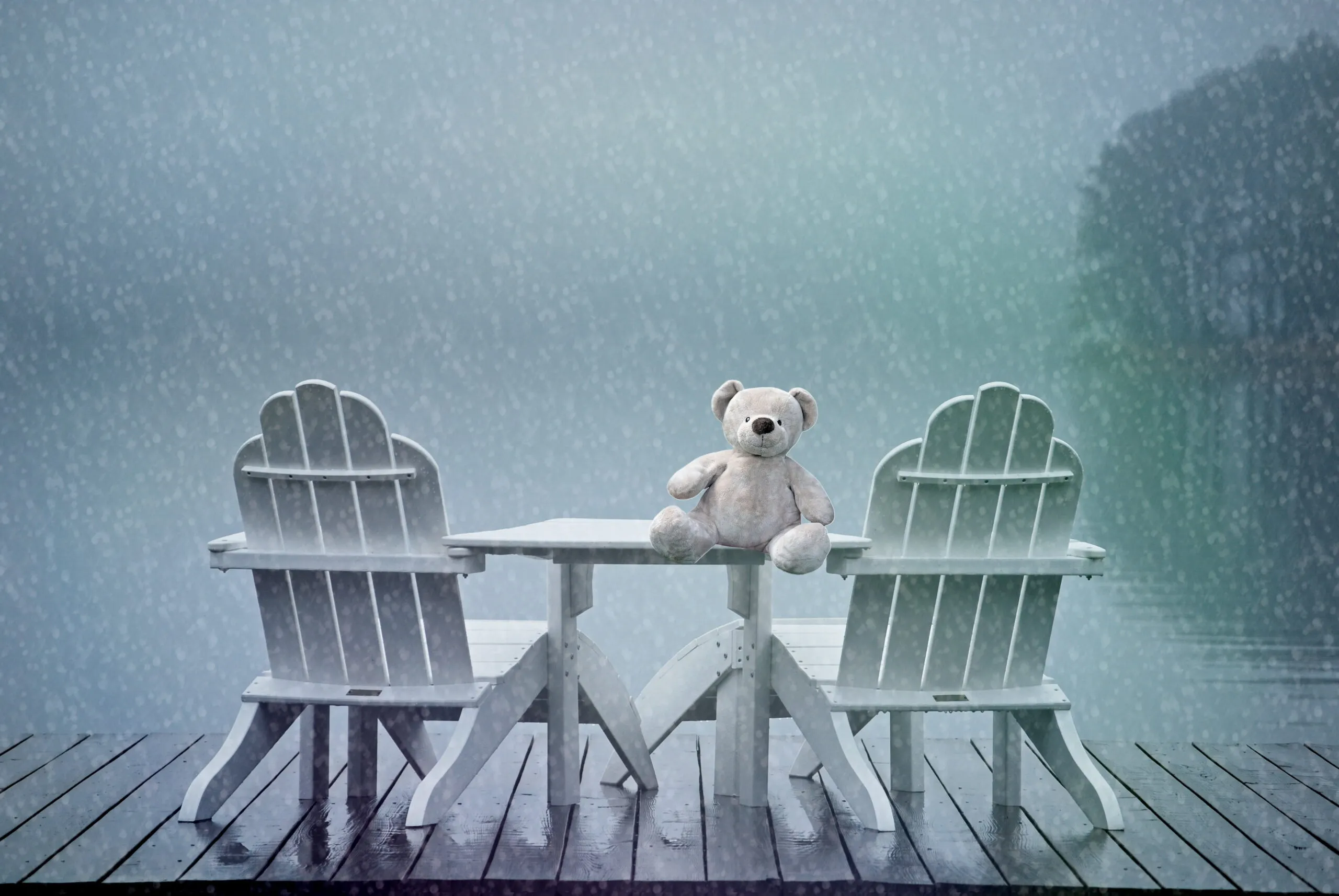 une peluche dans le brouillard