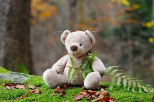 peluche et nature (2) peluche et nature, une peluche d'ours dans la nature