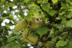 peluche et nature (3) peluche et nature, une peluche dans un arbre