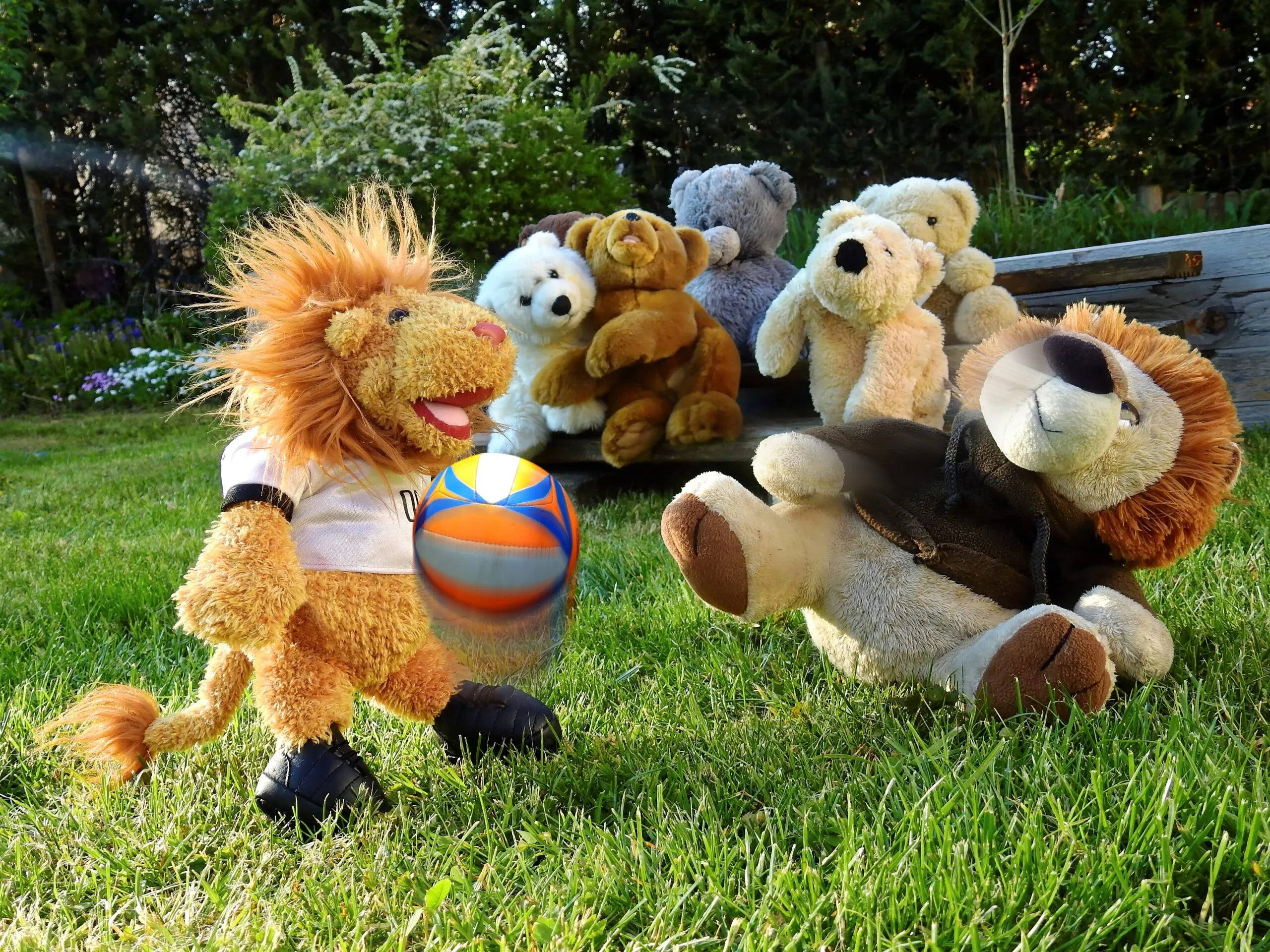 peluche et sport
