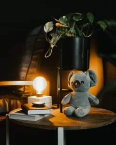 Peluches déco intérieure : peluche de koala sous une lumière tamisée