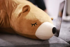 Calmer l’anxiété : une peluche d'ours endormis